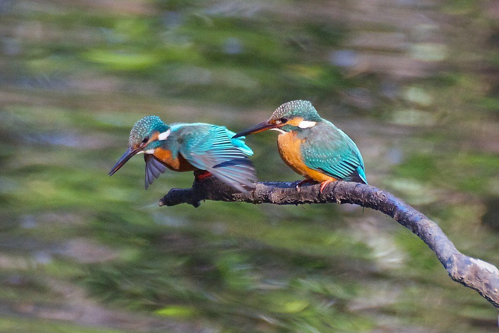 🏞️ 네리마 구립 무사시세키 공원 이미지 10